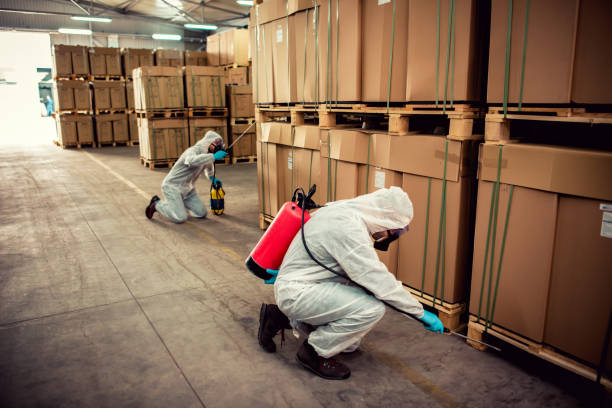 Best Flea Control Services  in Camp Wood, TX