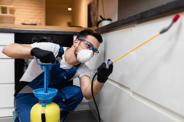 Best Local Pest Control Services  in Camp Wood, TX