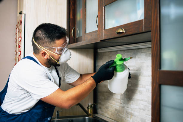 Best Best Pest Control Companies  in Camp Wood, TX