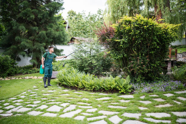 Best Best Pest Control Companies  in Camp Wood, TX