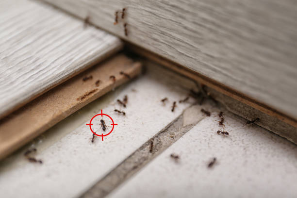  Camp Wood, TX Pest Control Pros