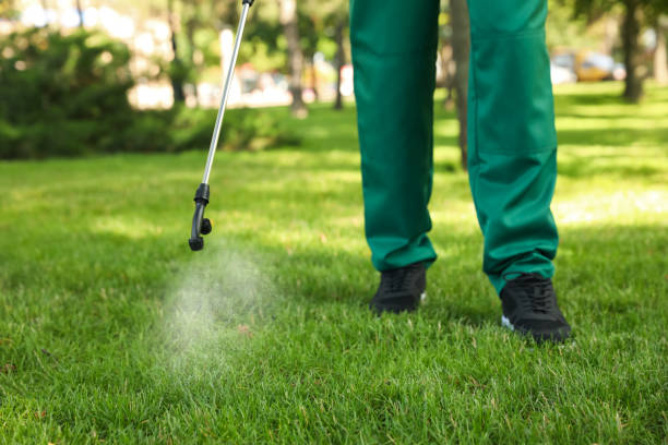 Wasp Removal Services in Camp Wood, TX