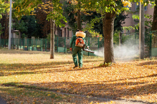 Best Emergency Pest Control  in Camp Wood, TX